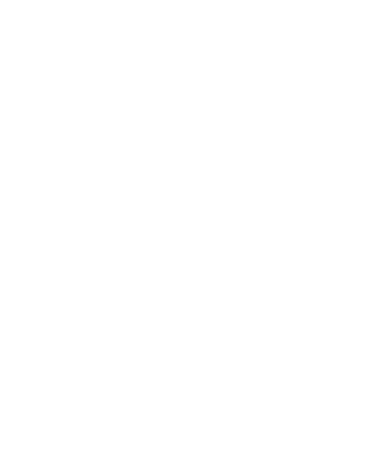 gfh-sticks